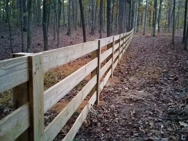 Wood four-rail fence running through woods